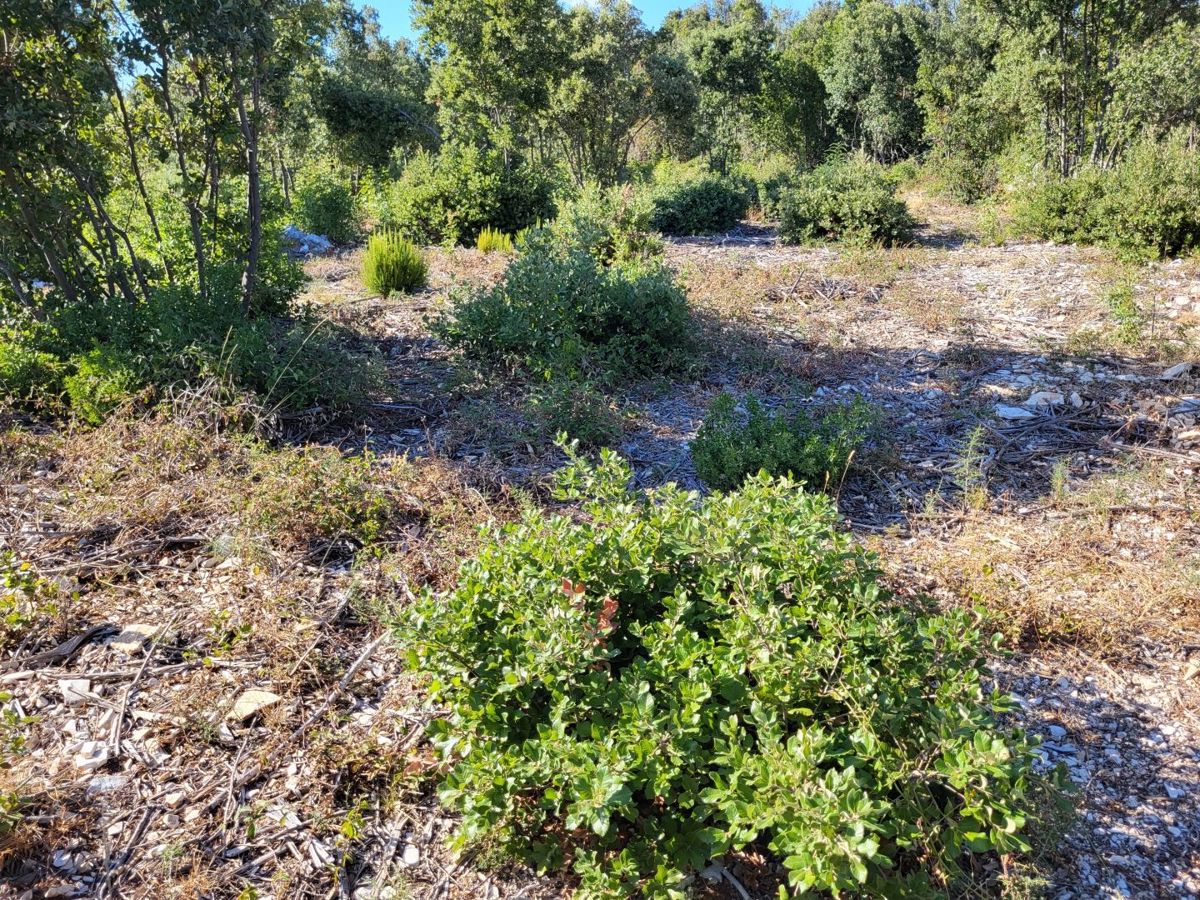 Terreno Rakalj, Marčana, 800m2