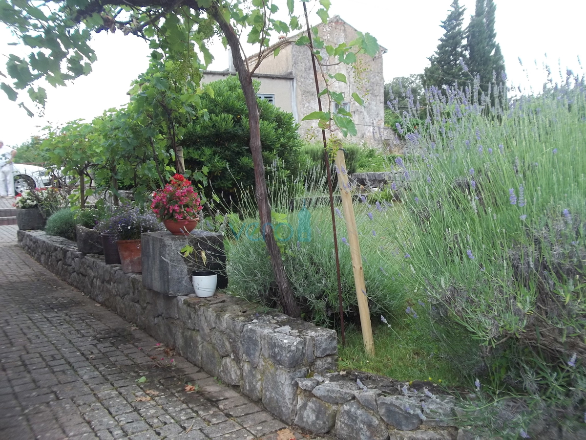 Isola di Krk, Dobrinj, dintorni, casa in pietra ristrutturata con ampio giardino