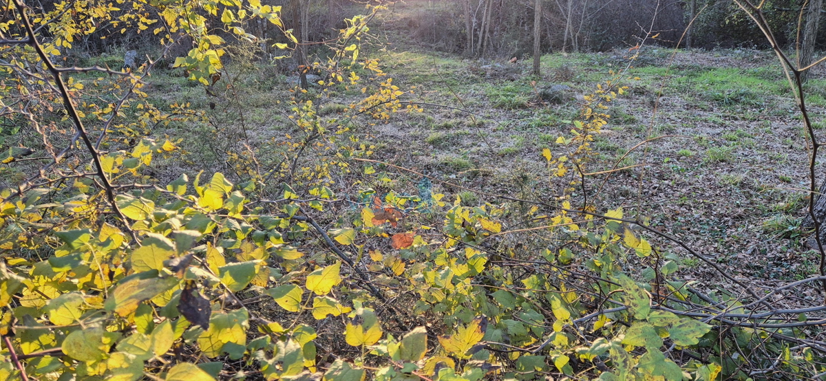 Malinska, isola di Krk, dintorni, terreno agricolo 2090 m2, vendita