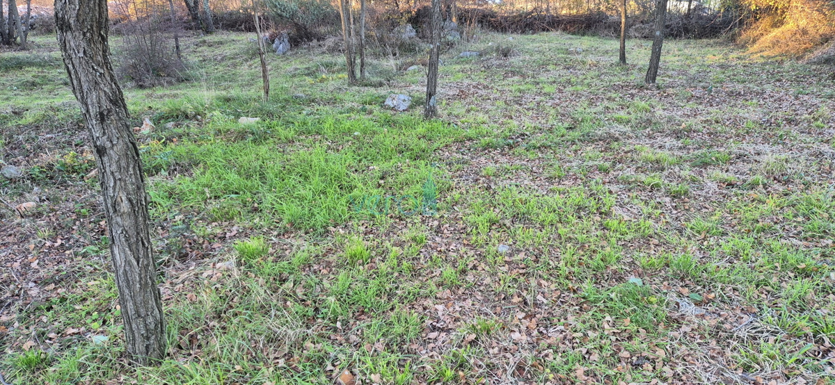 Malinska, isola di Krk, dintorni, terreno agricolo 2090 m2, vendita