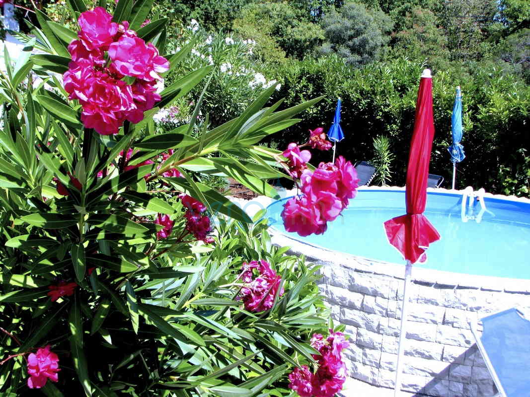 Isola di Krk, dintorni, bella casa con piscina e giardino paesaggistico