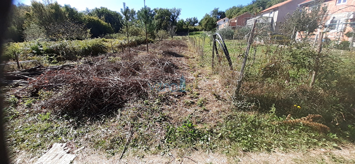 Isola di Krk, Cizici, terreno edificabile a 500m dal mare