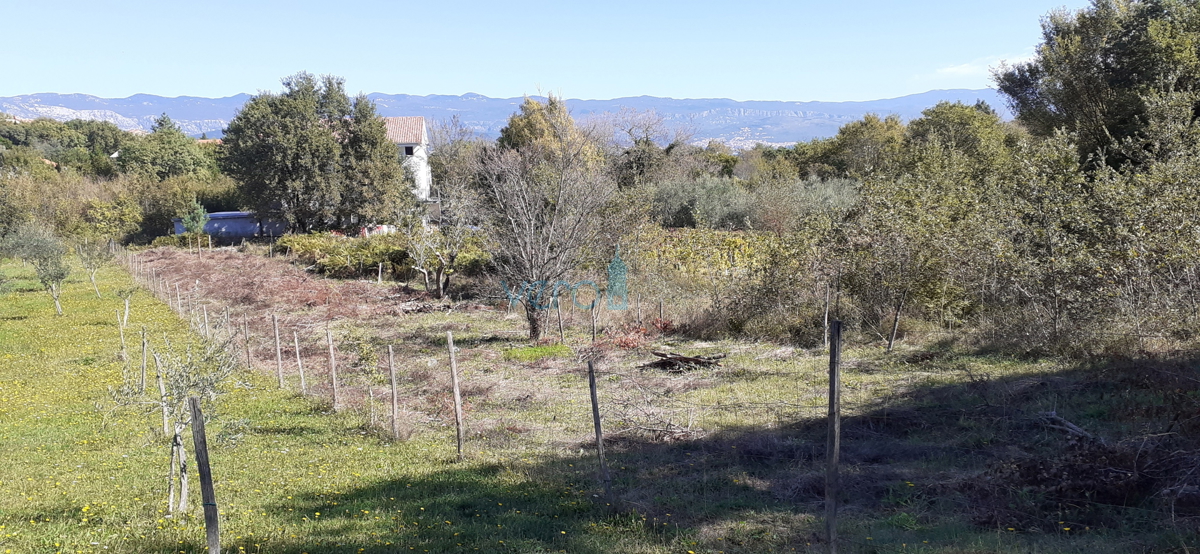 Isola di Krk, Cizici, terreno edificabile a 500m dal mare