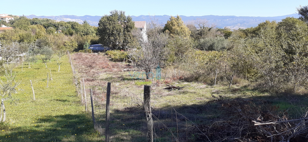 Isola di Krk, Cizici, terreno edificabile a 500m dal mare