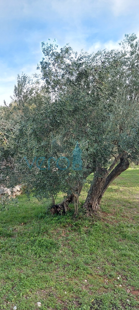 Città di Krk, terreno edificabile a 150 m dal mare per uso turistico-ricettivo, vendita