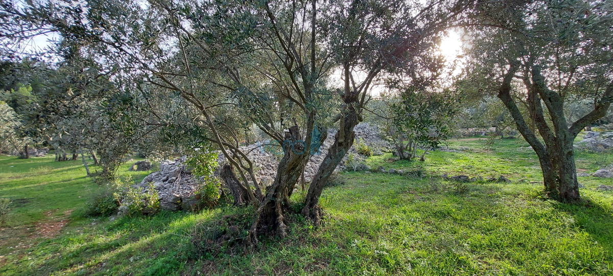 Città di Krk, terreno edificabile a 150 m dal mare per uso turistico-ricettivo, vendita