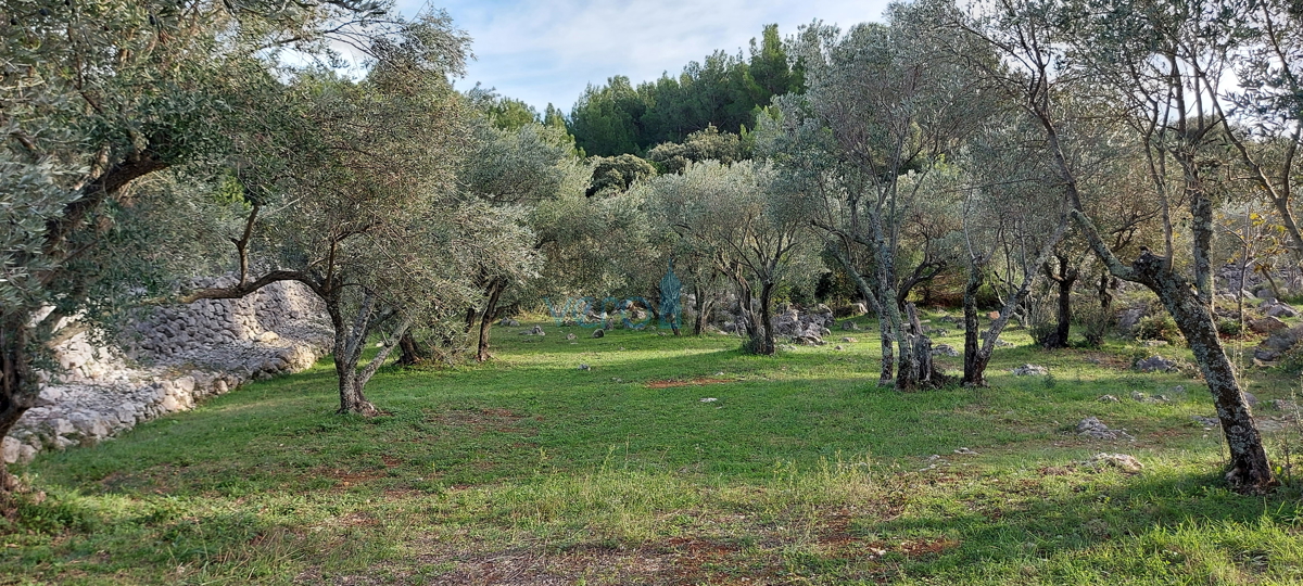 Città di Krk, terreno edificabile a 150 m dal mare per uso turistico-ricettivo, vendita