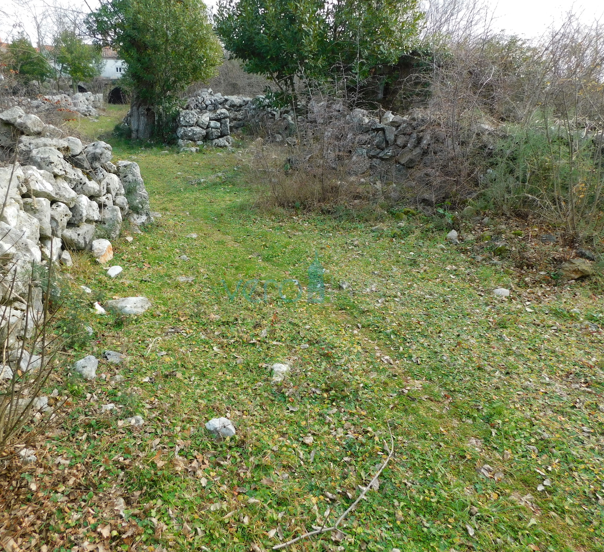 Isola di Krk, zona Dobrinj, vecchia casa da ristrutturare, in vendita