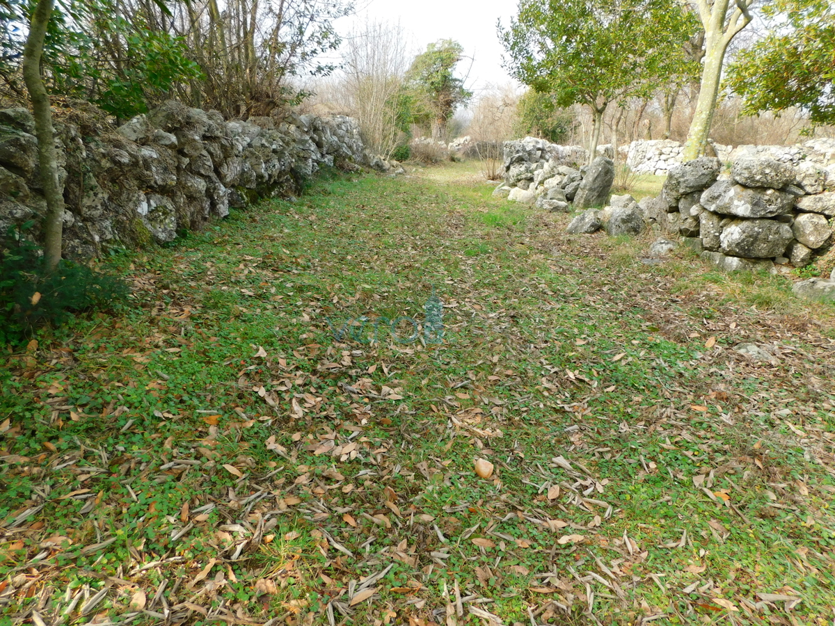 Isola di Krk, zona Dobrinj, vecchia casa da ristrutturare, in vendita