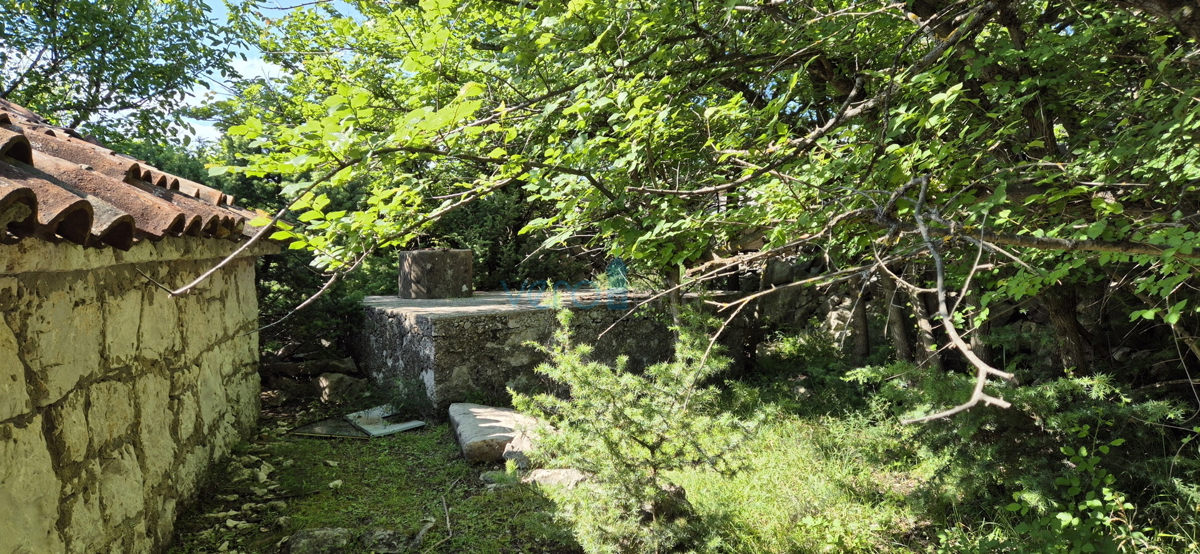 Baia Soline, dintorni, casa in pietra al piano terra, cortile, posizione tranquilla, vista, vendita
