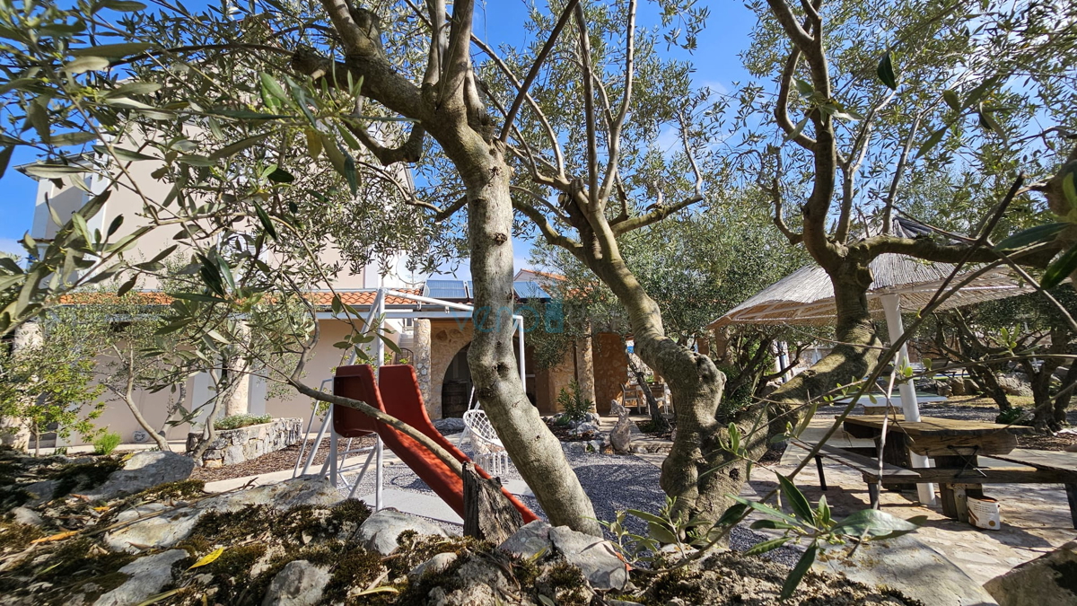 Isola di Krk, Dobrinj, villa di lusso autoctona con uliveto e piscina