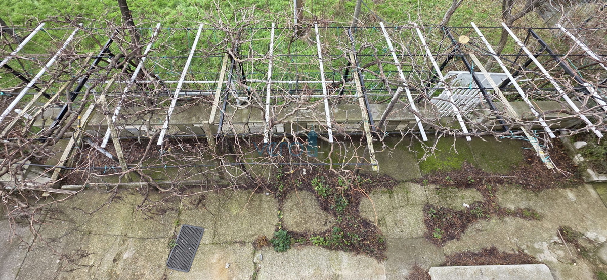 Senj, periferia, casa familiare di 150 m2 su un terreno di 1000 m2, vista mare, in vendita