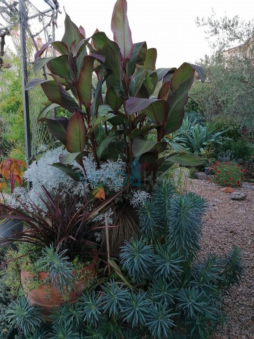 Isola di Krk, città di Krk, area circostante, casa indipendente con due appartamenti su un terreno di 992 m², vista, vendita