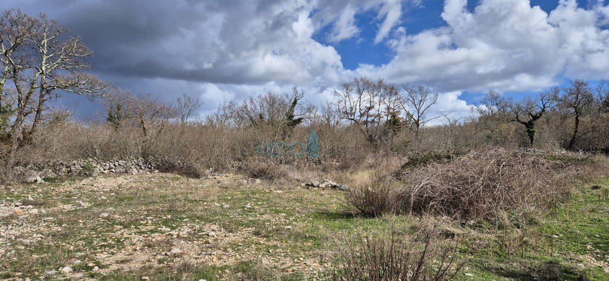 Isola di Krk, Malinska, dintorni, terreno agricolo 697 m2, vendita