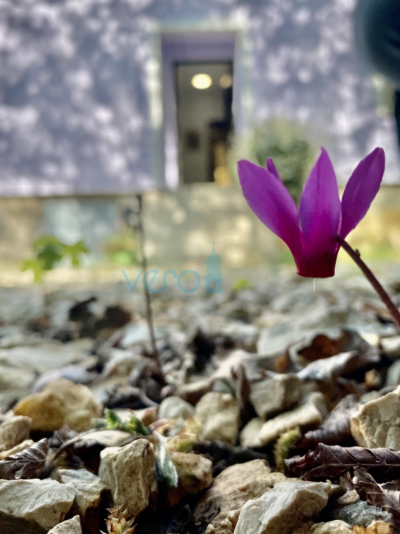 Isola di Krk, Dobrinj, periferia, casa bifamiliare con due appartamenti, vista, terreno, vendita