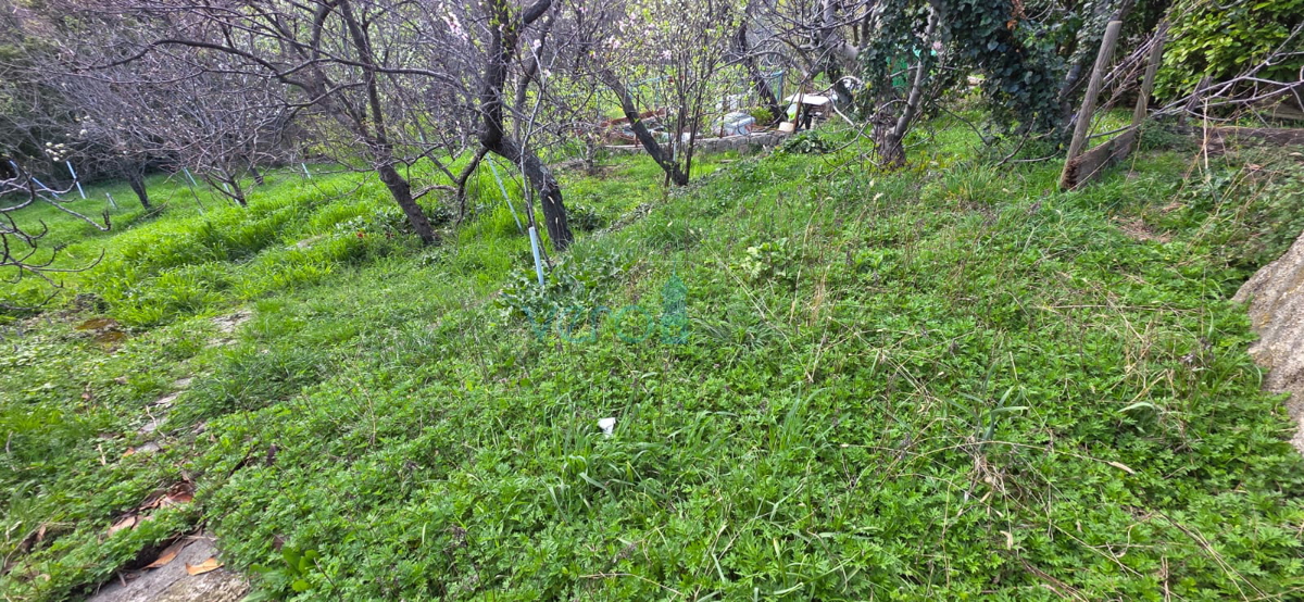 Novi Vinodolski, Bribir, casa bifamiliare 115m2 con giardino di 800m2, vendita