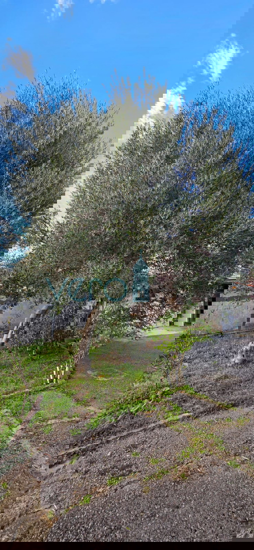 Novi Vinodolski, Bribir, casa bifamiliare 115m2 con giardino di 800m2, vendita