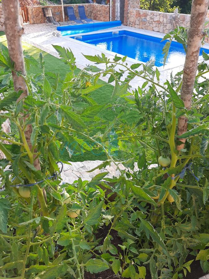 Dobrinj, dintorni, Casa indipendente con piscina e ampio giardino, in vendita