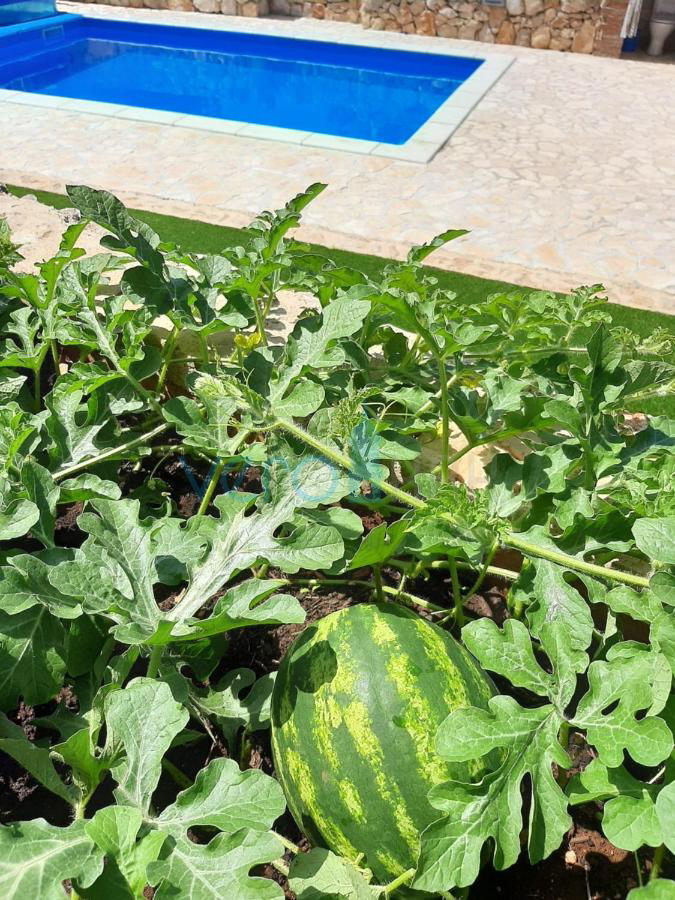 Dobrinj, dintorni, Casa indipendente con piscina e ampio giardino, in vendita