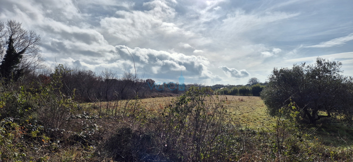 Istra, Umag, terreno edificabile 500m2, vendita