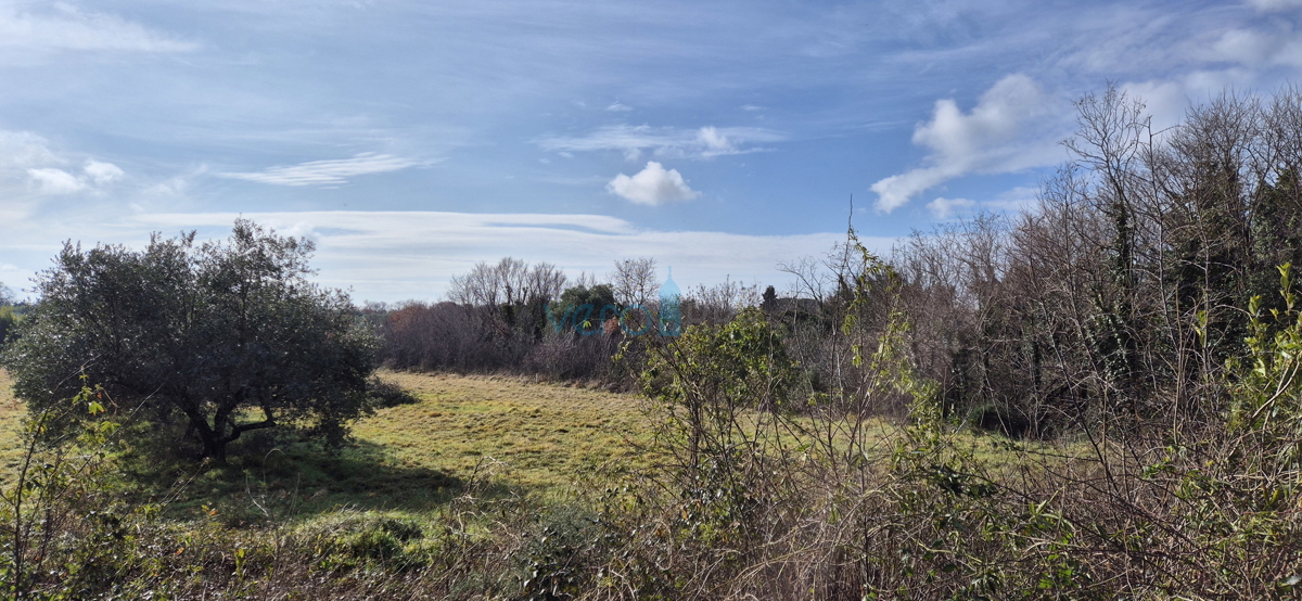 Istra, Umag, terreno edificabile 1000 m2, vendita