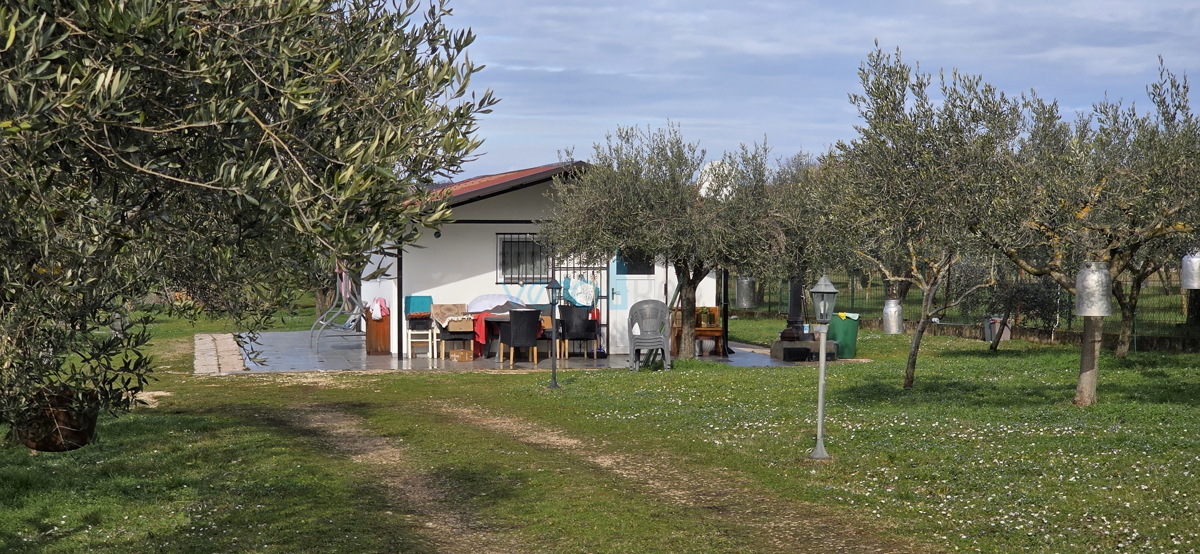 Istra, Umag, periferia, terreno agricolo 5780m2, con edifici legalizzati, vendita
