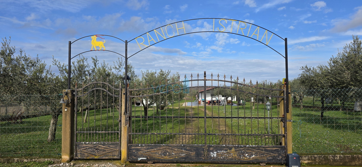 Istra, Umag, periferia, terreno agricolo 5780m2, con edifici legalizzati, vendita