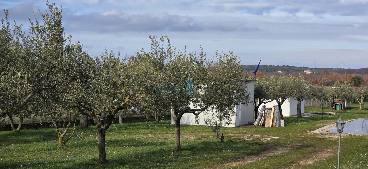 Istra, Umag, periferia, terreno agricolo 5780m2, con edifici legalizzati, vendita