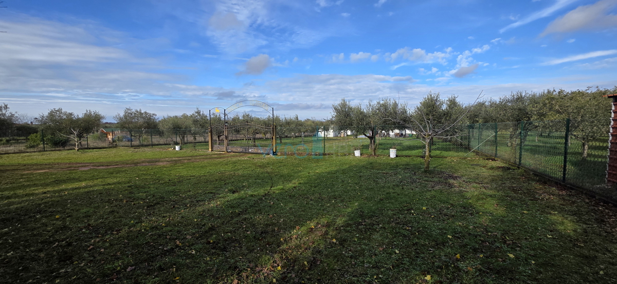 Istra, Umag, periferia, terreno agricolo 5780m2, con edifici legalizzati, vendita