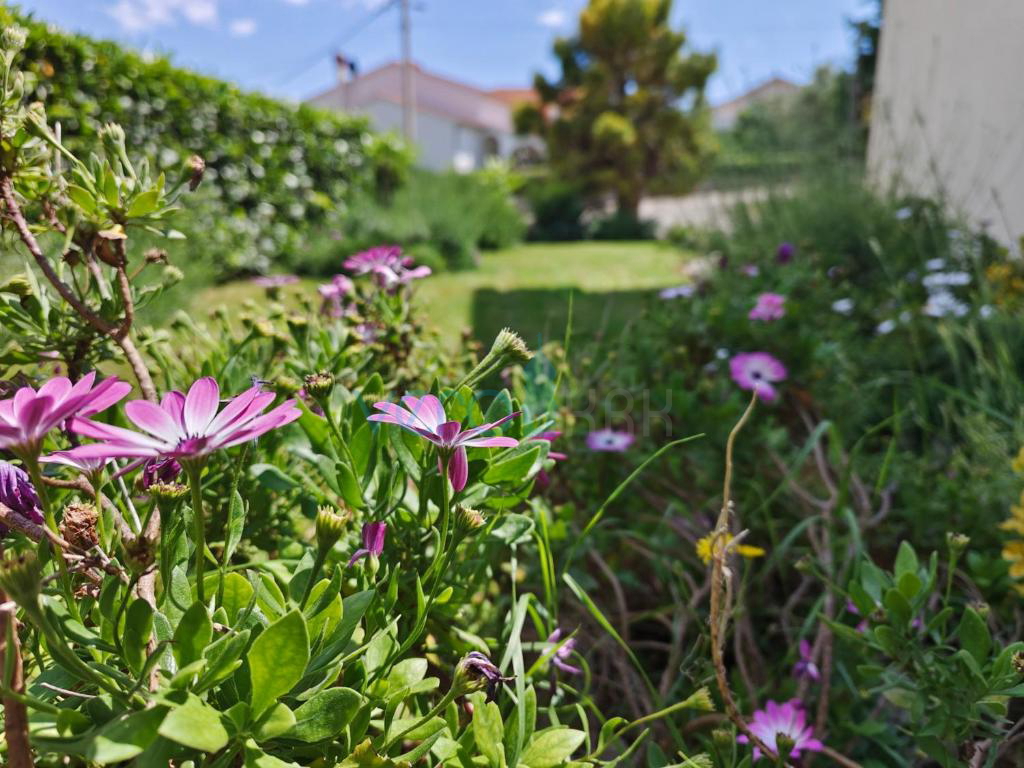 Isola di Krk, Šilo, periferia, casa familiare indipendente, giardino, piscina, vista mare, in vendita