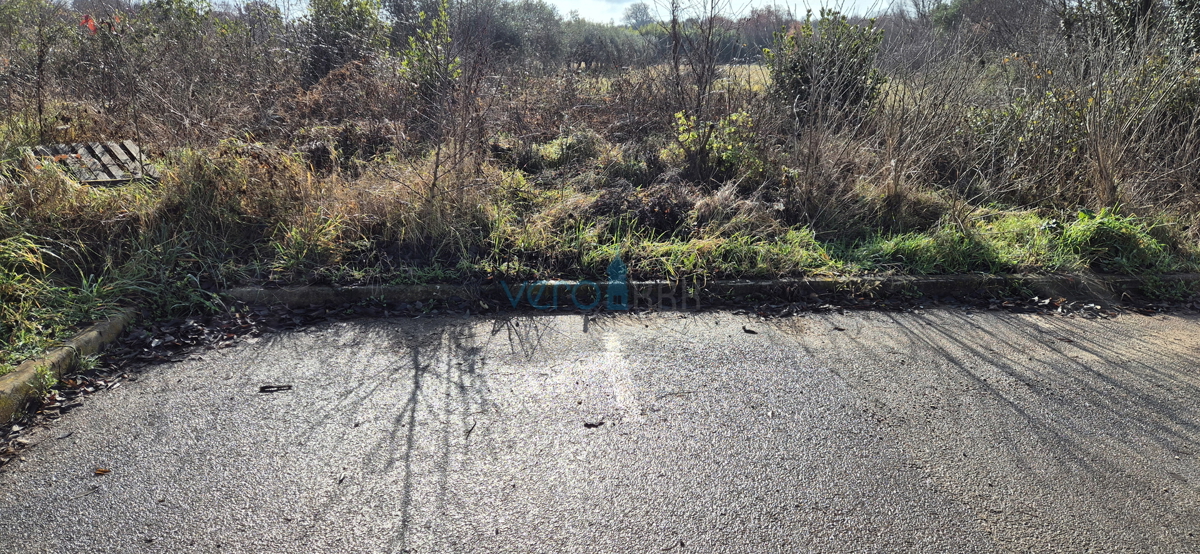 Istra, Umag, terreno edificabile e agricolo 1250m2, vendita