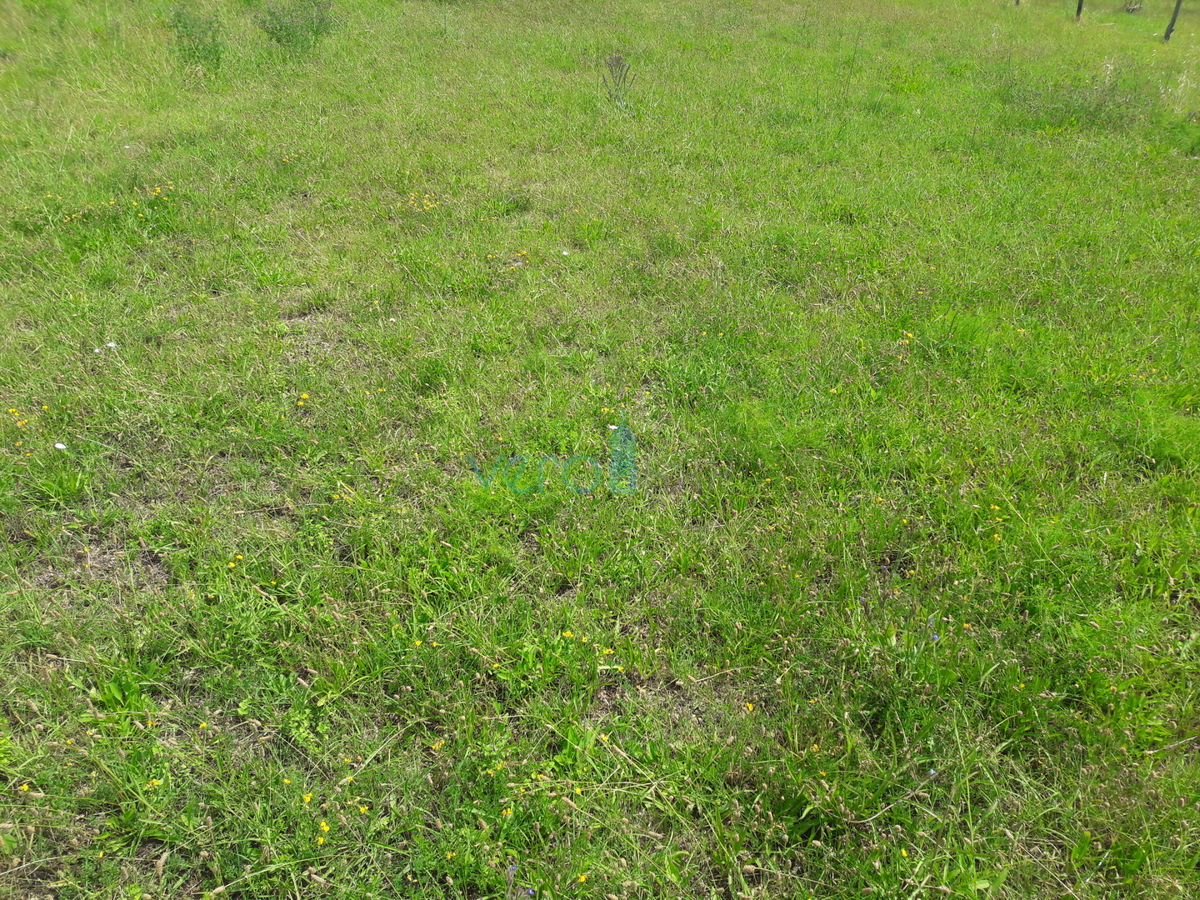 Isola di Krk, Baška, Jurandvor - terreno edificabile