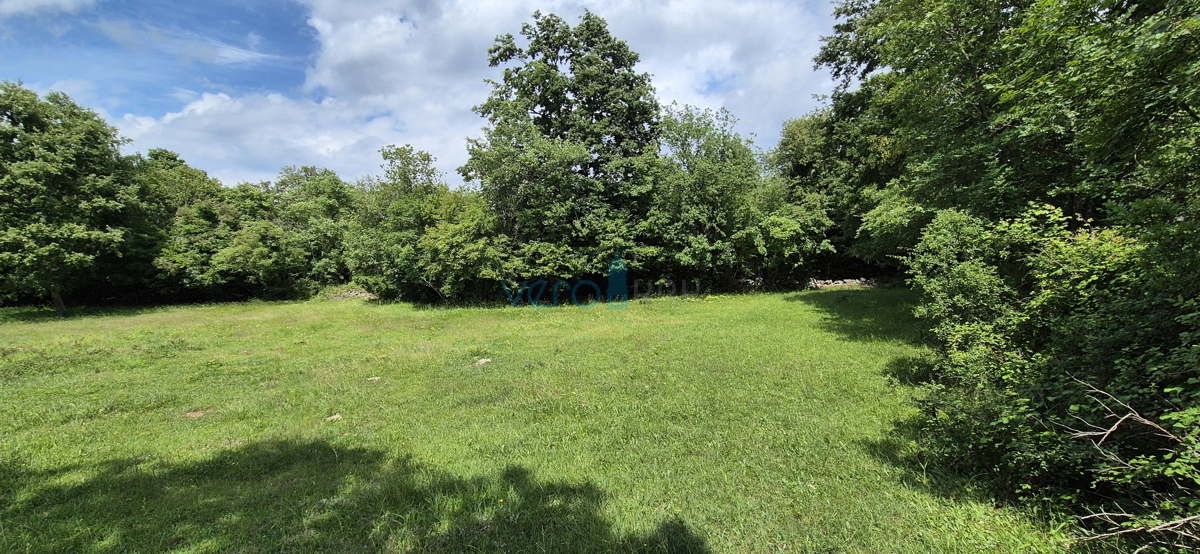 Isola di Krk, Vrbnik, terreno nella zona T3 (campeggi) 5633 m2, in vendita