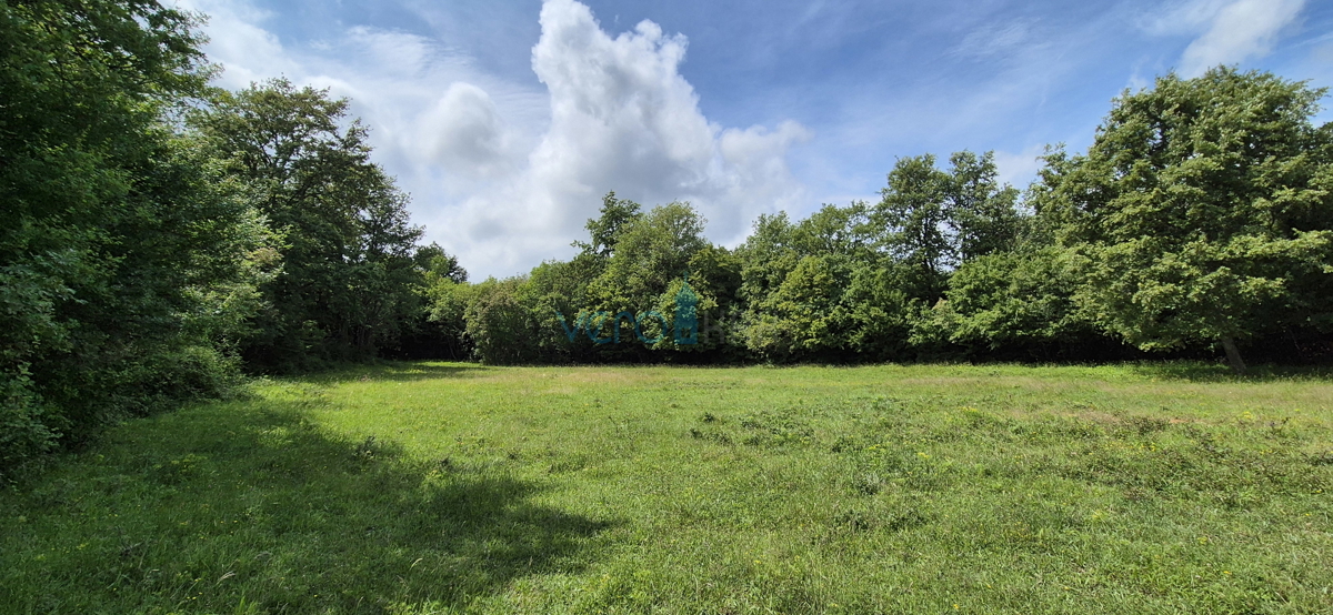 Isola di Krk, Vrbnik, terreno nella zona T3 (campeggi) 5633 m2, in vendita