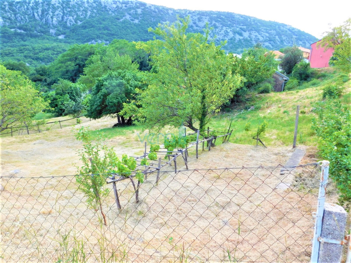 Bribir - tenuta di famiglia con 2 case e un ampio giardino! OCCASIONE!, vendita