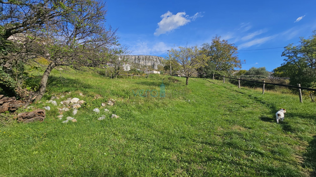 Bribir - tenuta di famiglia con 2 case e un ampio giardino! OCCASIONE!, vendita