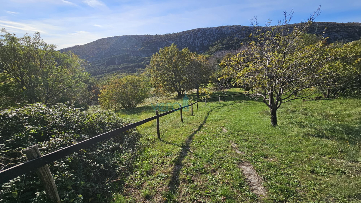 Bribir - tenuta di famiglia con 2 case e un ampio giardino! OCCASIONE!, vendita