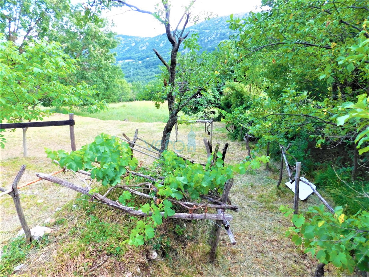 Bribir - tenuta di famiglia con 2 case e un ampio giardino! OCCASIONE!, vendita