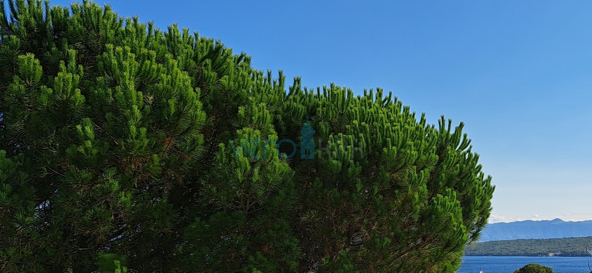 Isola di Krk-Malinska, due moderni appartamenti con vista mare, giardino, vendita