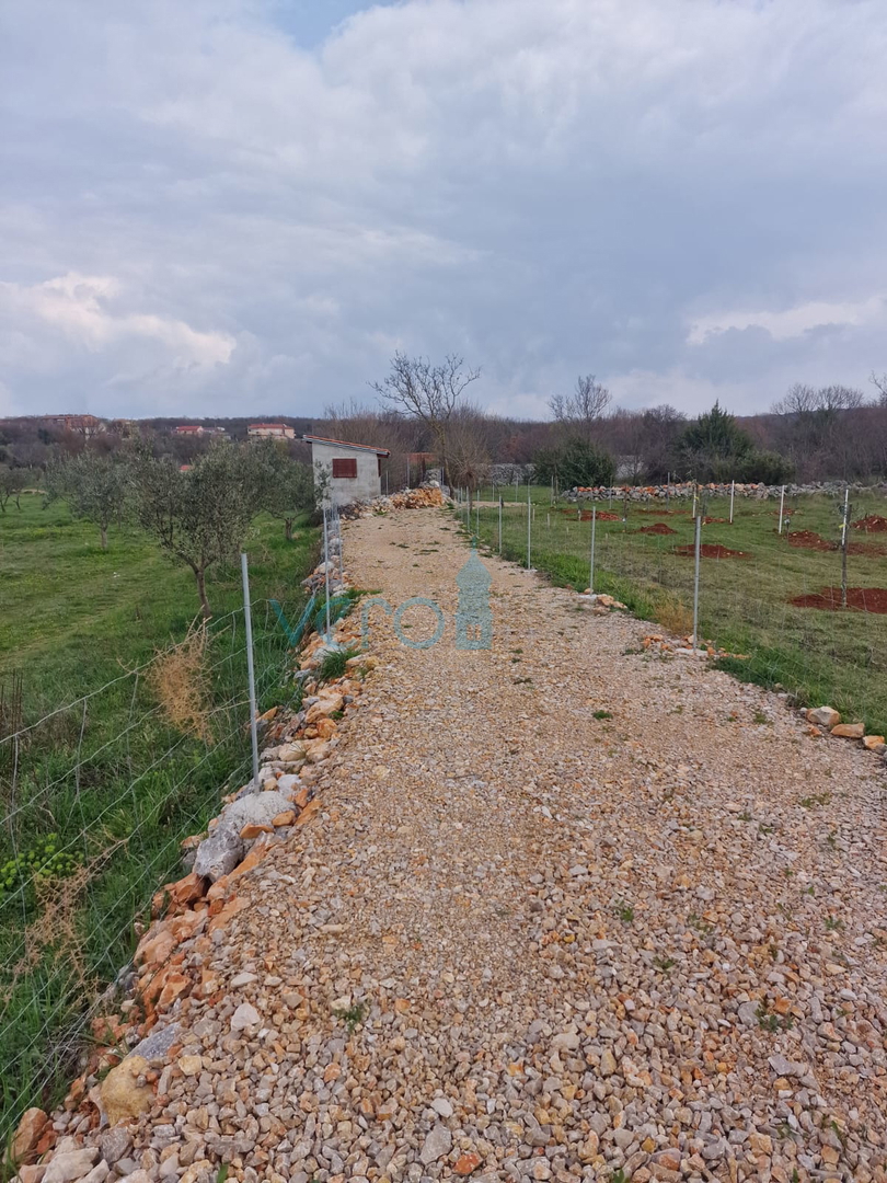 Dintorni di Krk, terreno agricolo di 2651 m2, potenziale per un uliveto, in vendita