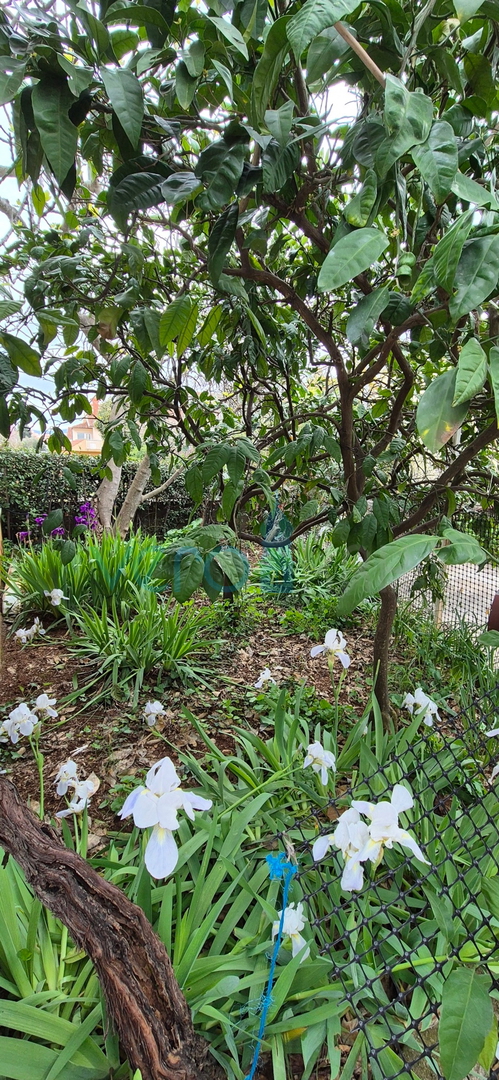 Città di Krk, isola di Krk, casa bifamiliare con 3 appartamenti, vista, giardino, vendita