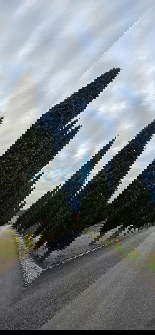 Istra, Oprtalj, proprietà 1307 m2, due case con terreno, vendita