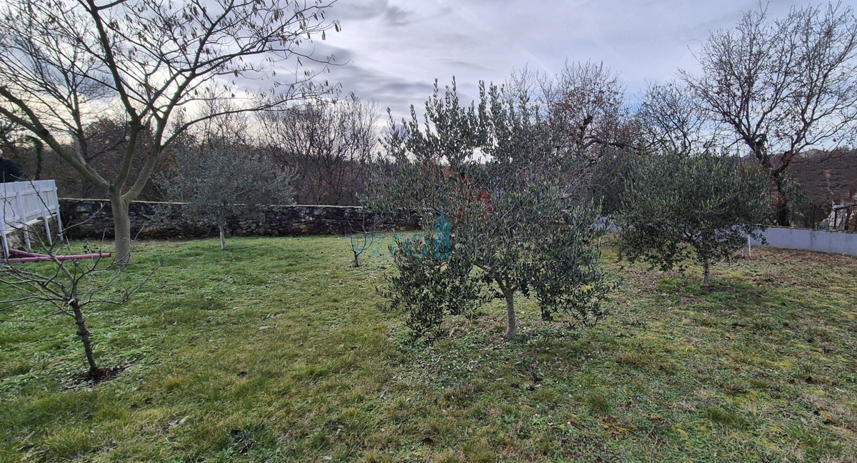 Istra, Buje, periferia, villetta indipendente al piano terra al confine della zona edificabile, vendita