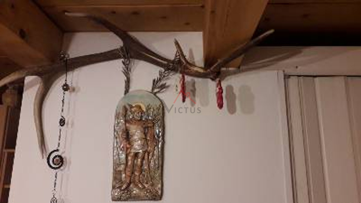 BRIBIR, LUKOVO - Casa nel bosco