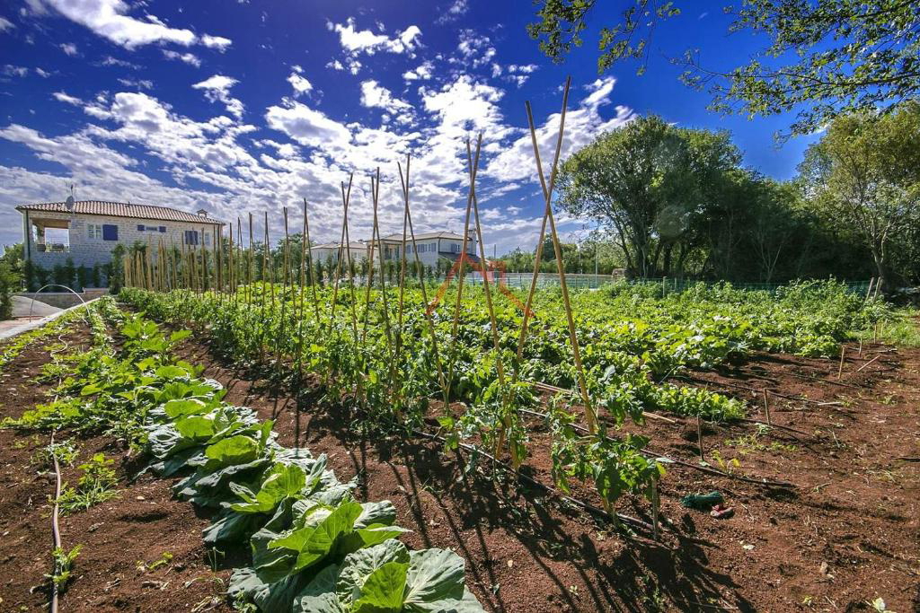 ROVIGNO - villa di lusso immersa nel verde