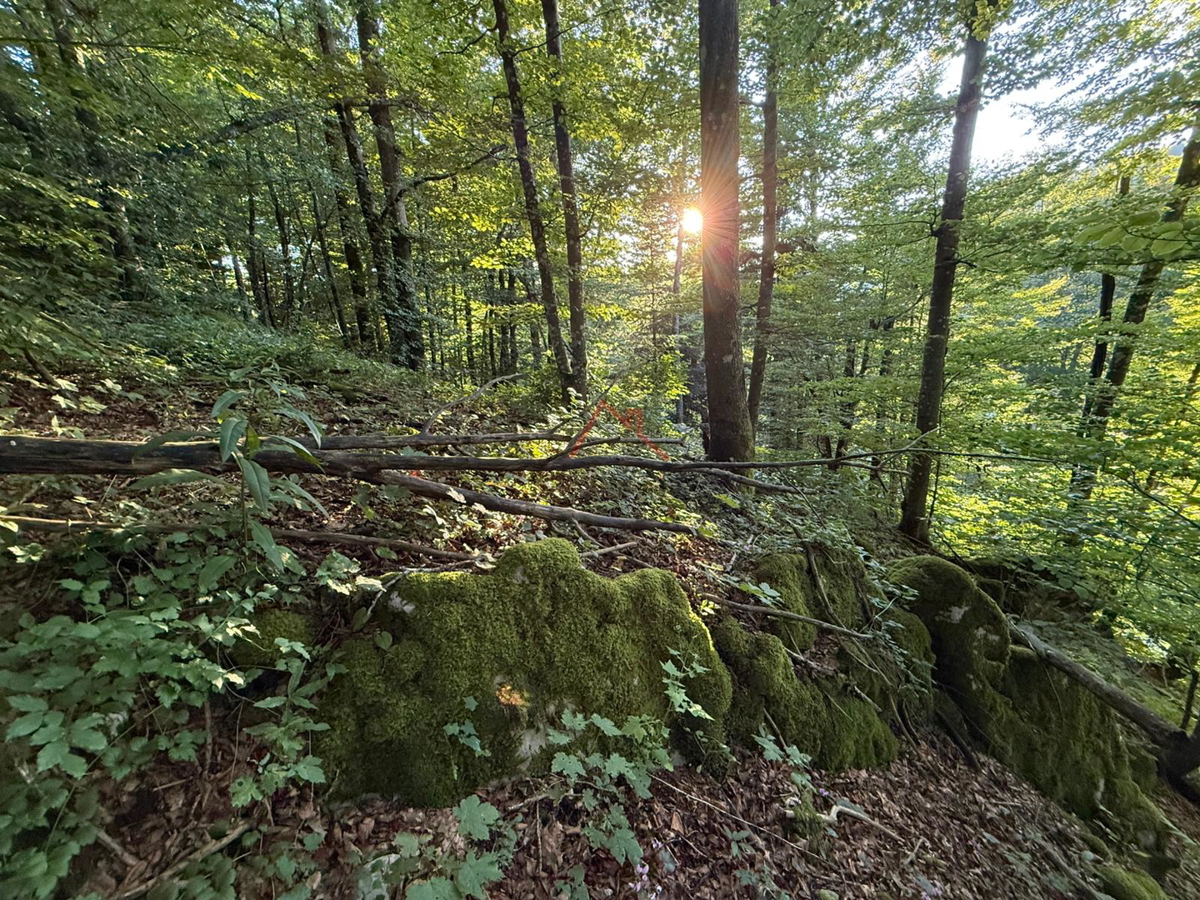 LOKVE - Terreno edificabile, 3072 m2