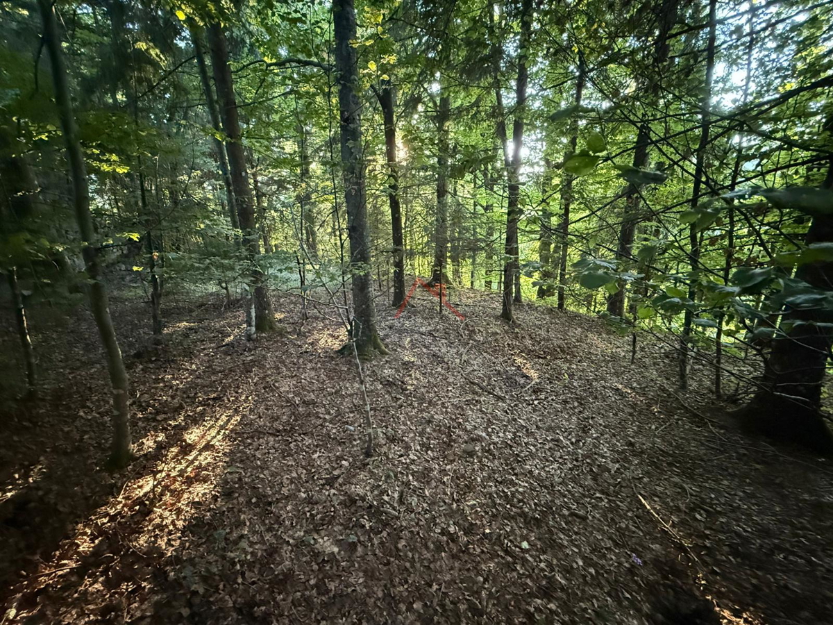 LOKVE - Terreno edificabile, 3072 m2