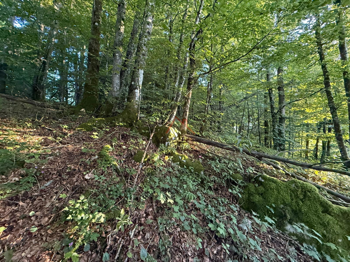 LOKVE - Terreno edificabile, 3072 m2