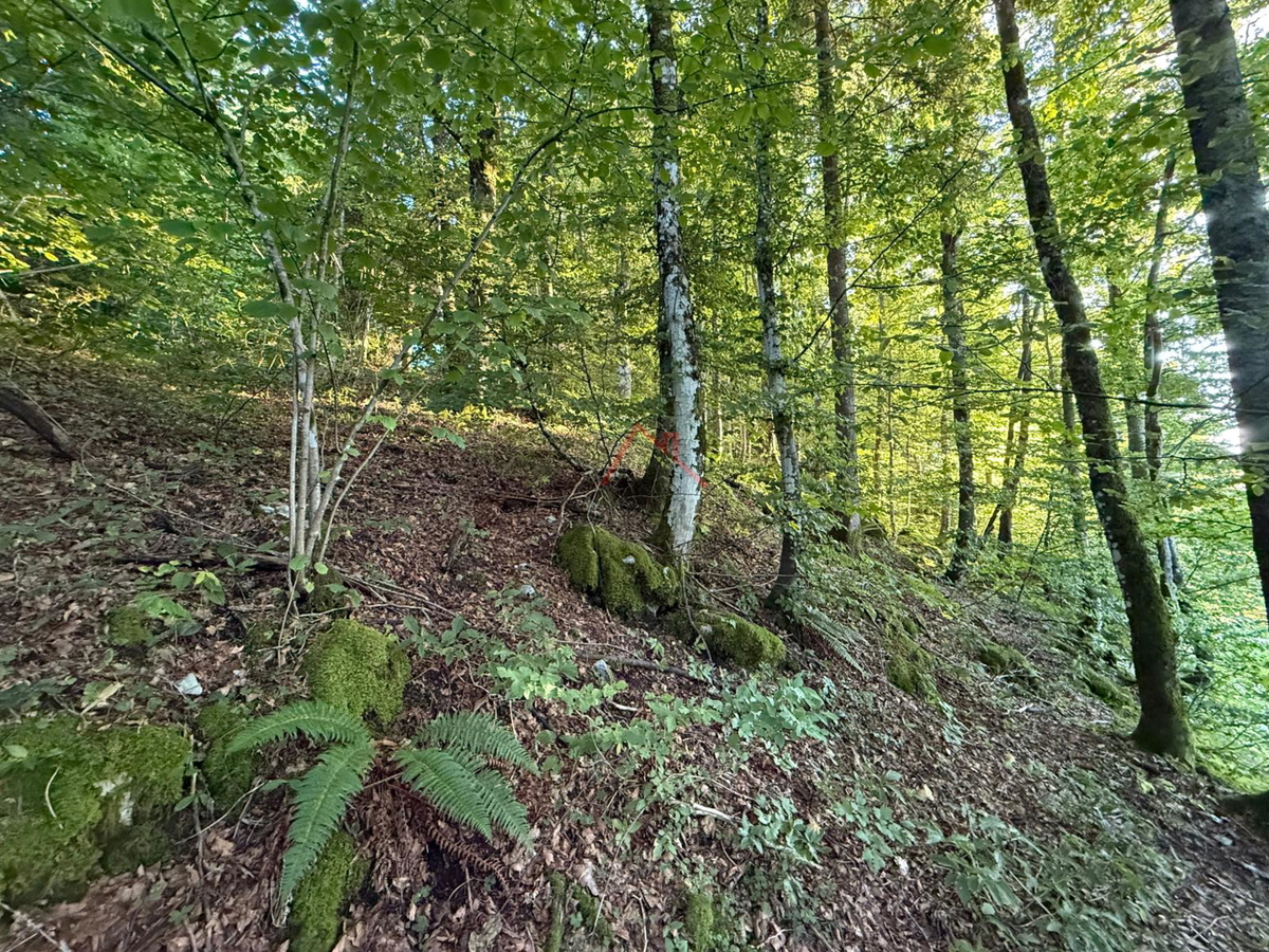 LOKVE - Terreno edificabile, 3072 m2