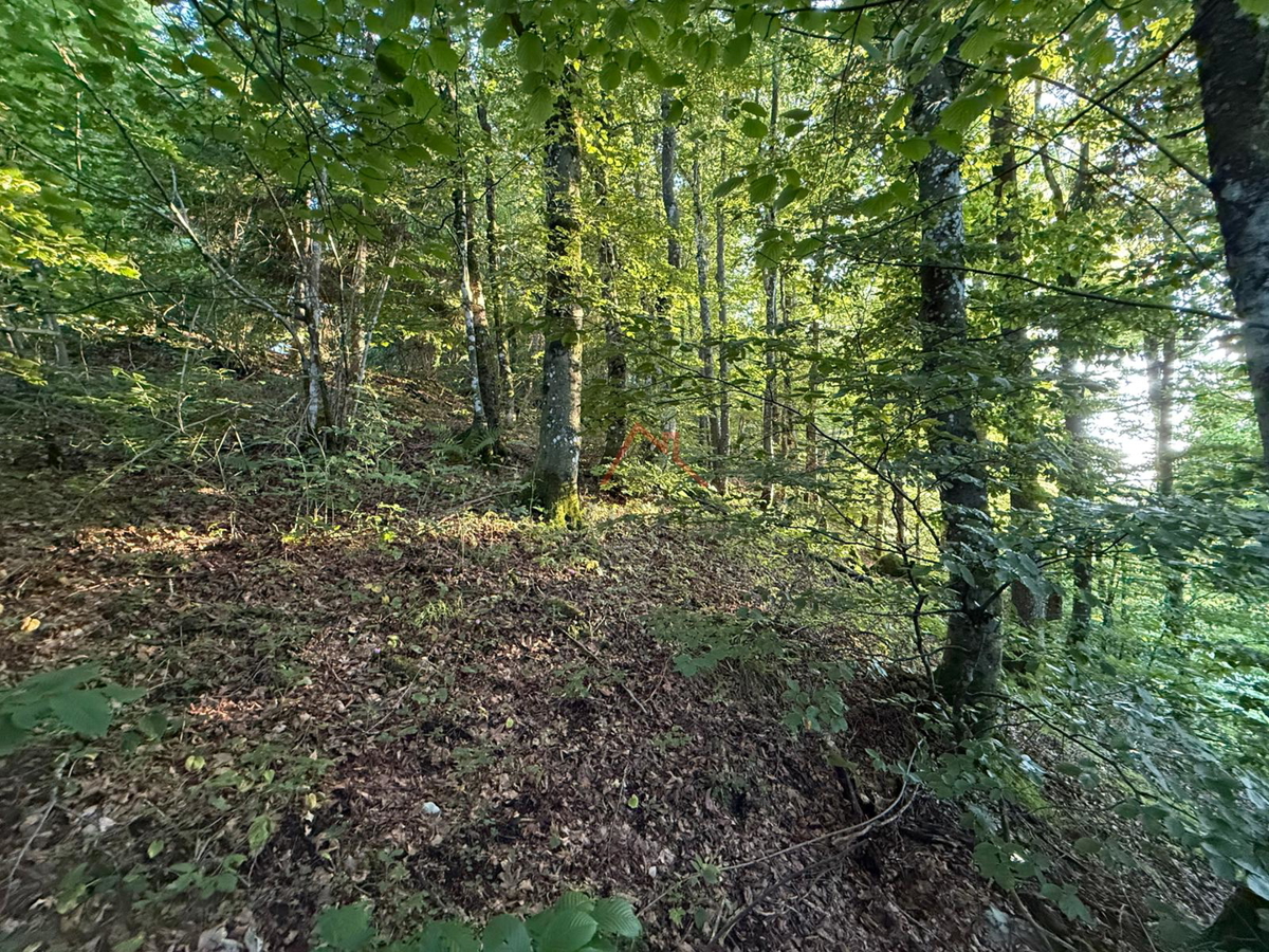 LOKVE - Terreno edificabile, 3072 m2